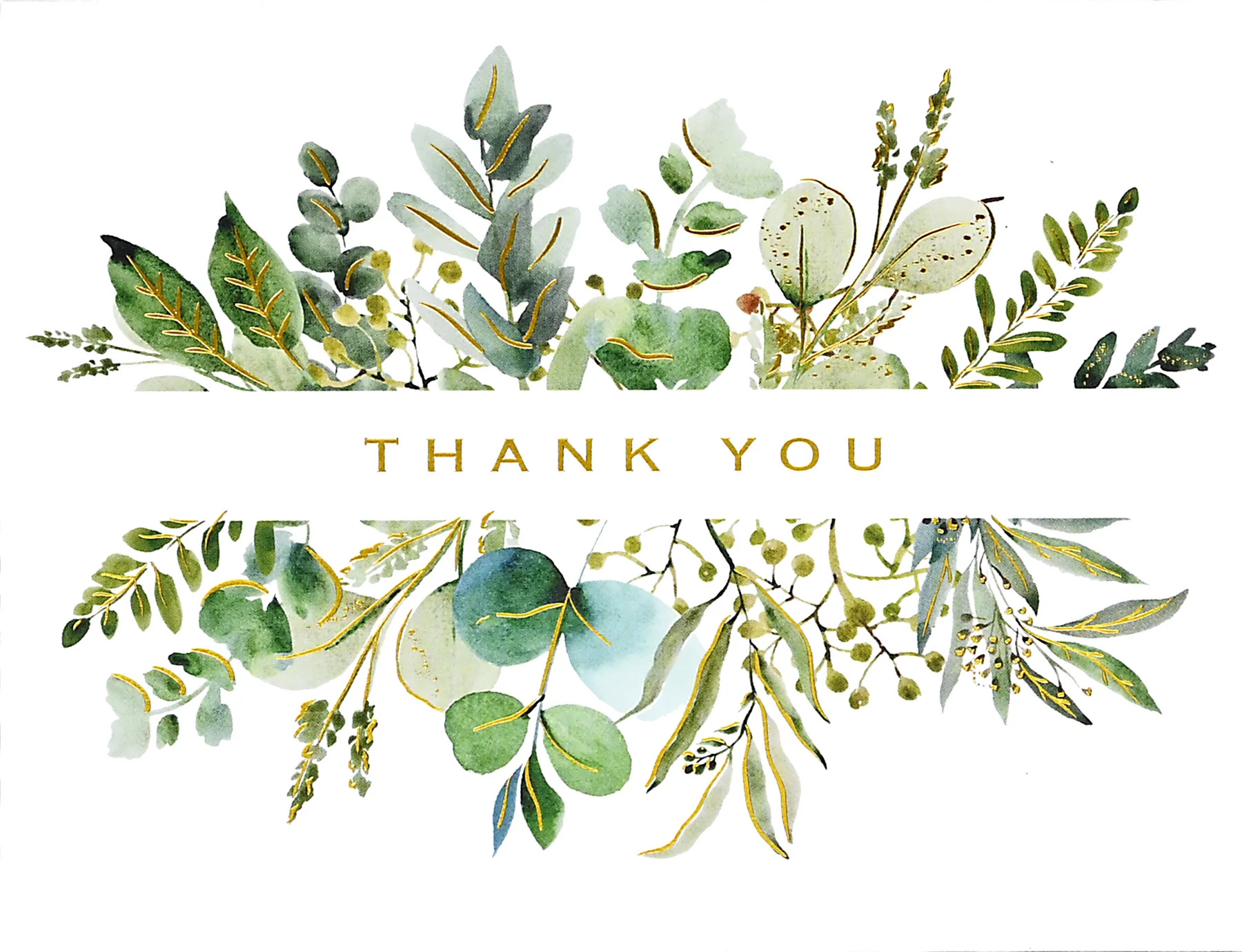Eucalyptus Premium Note Cards - 2