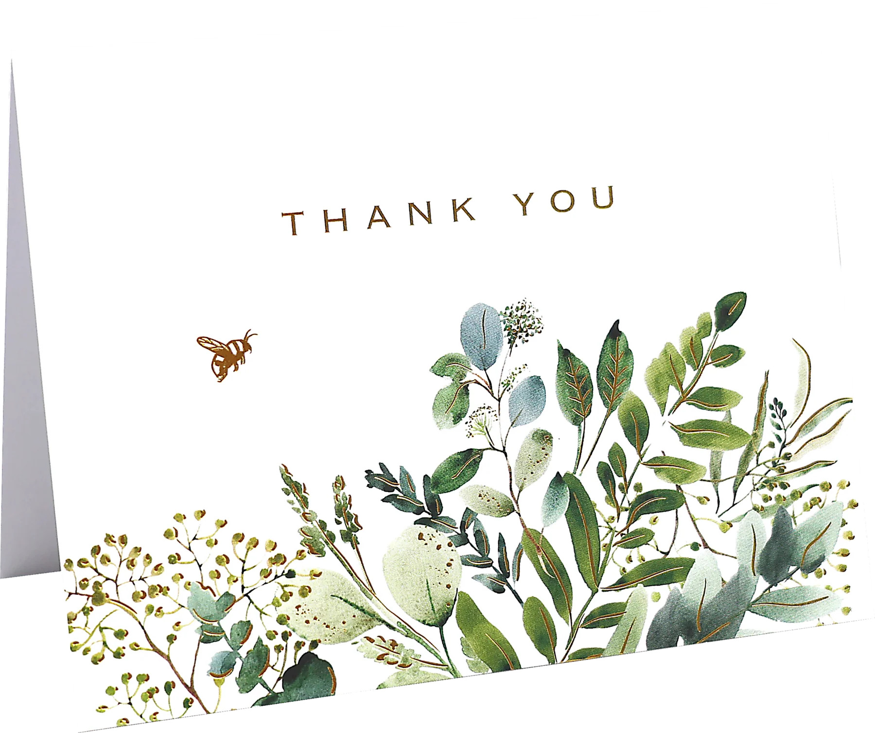 Eucalyptus Premium Note Cards - 8