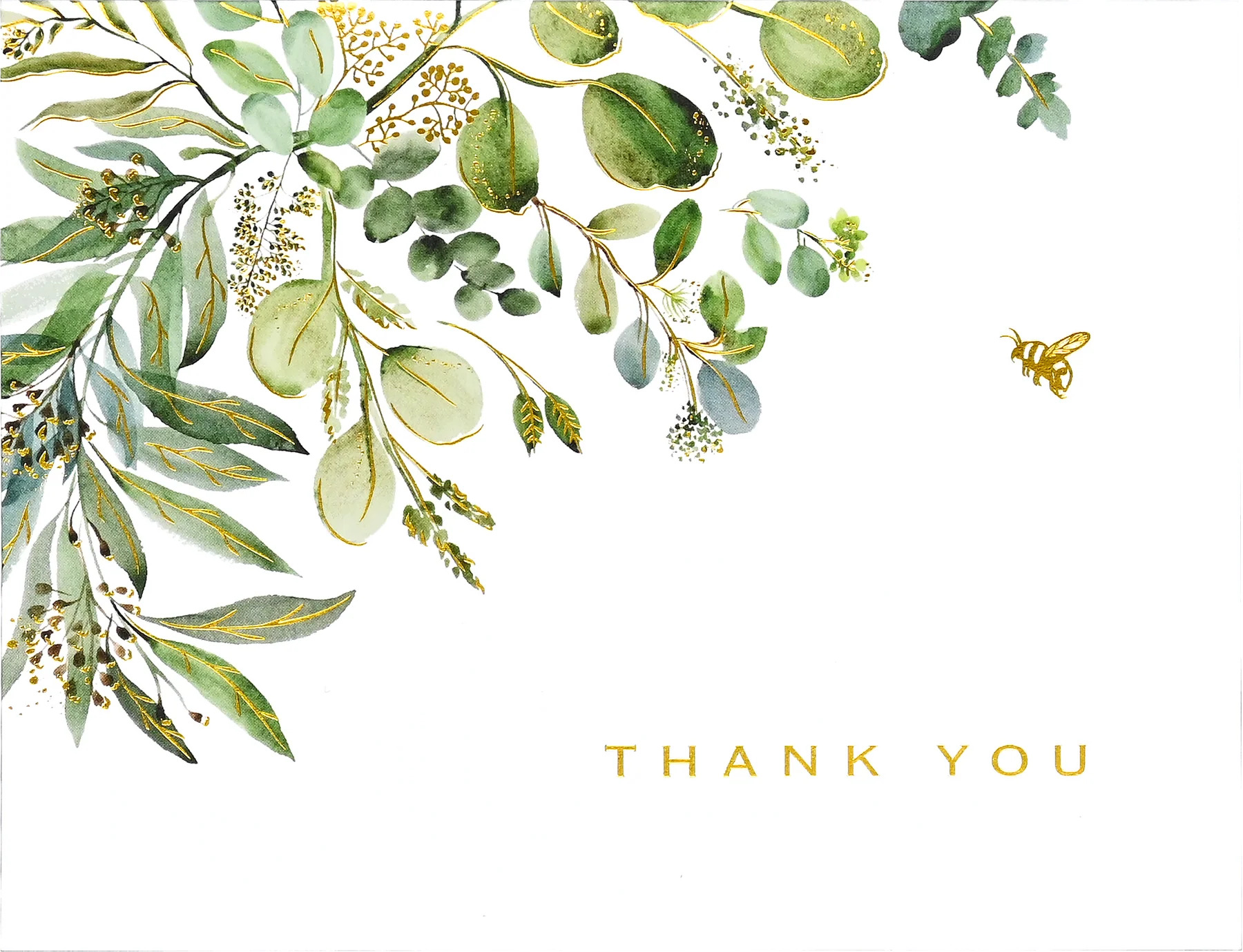 Eucalyptus Premium Note Cards - 3