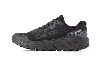 Icebug Arcus 2 M RB9X GTX - TrueBlack