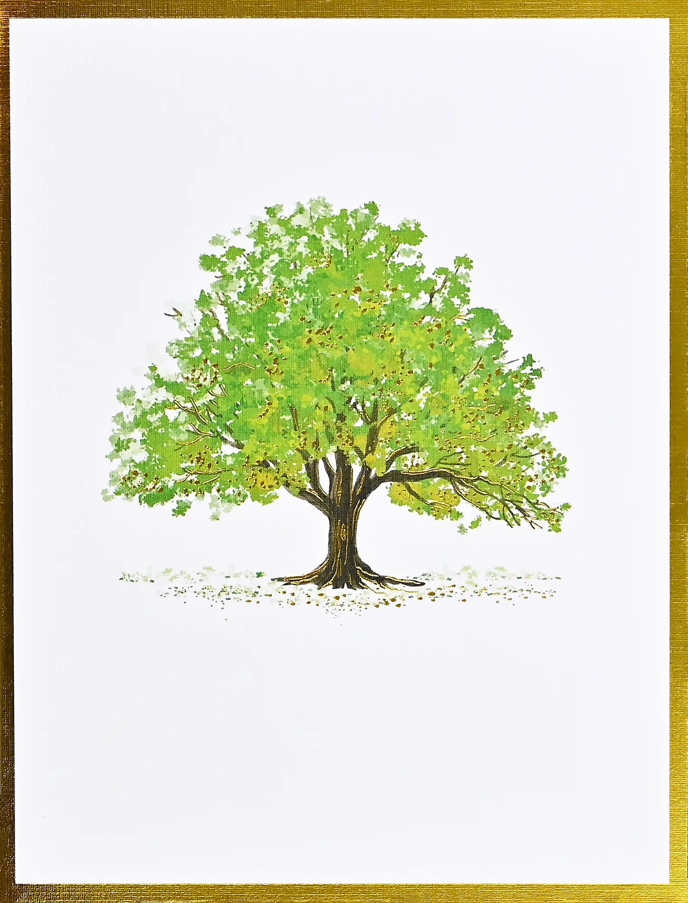 Watercolor Trees Premium Note Cards - 2