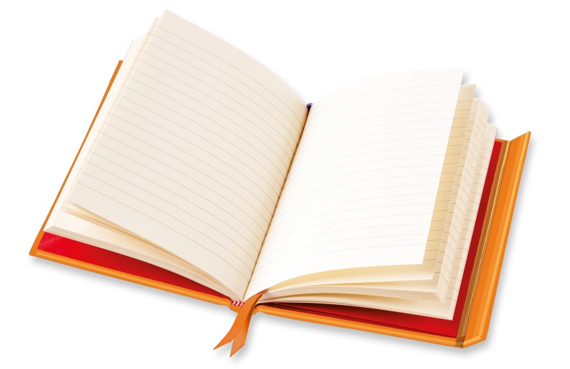 Bee Brown: Folk Owl (Foiled Journal) - 2