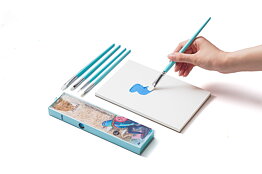 HIMI Brush Set of 5 Blue Edition