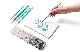 HIMI Brush Set of 5 Green Edition