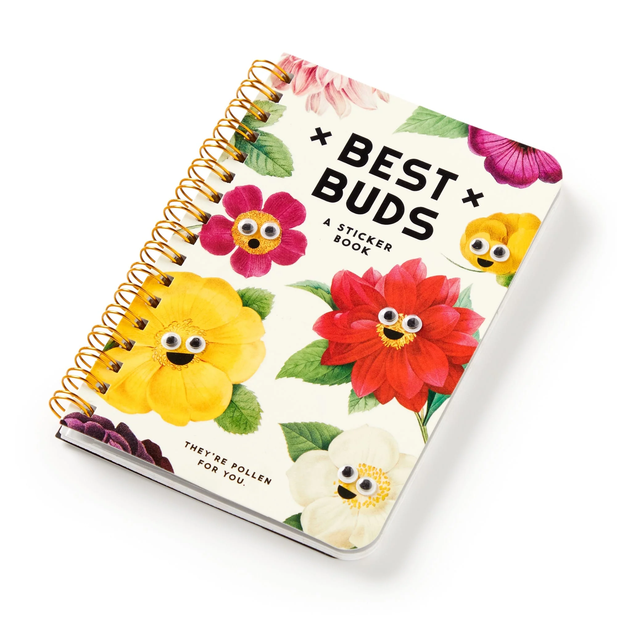 Best Buds Googly Sticker Book - 2