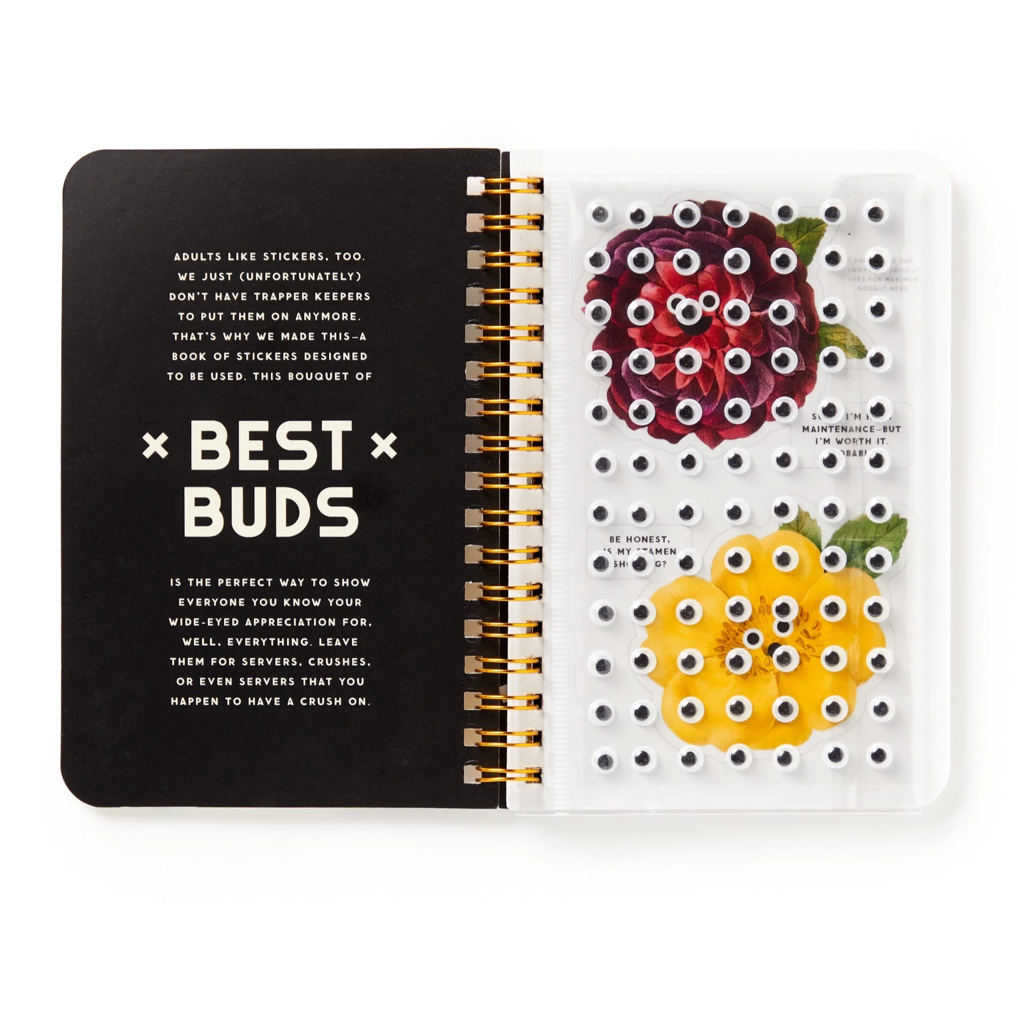 Best Buds Googly Sticker Book - 5