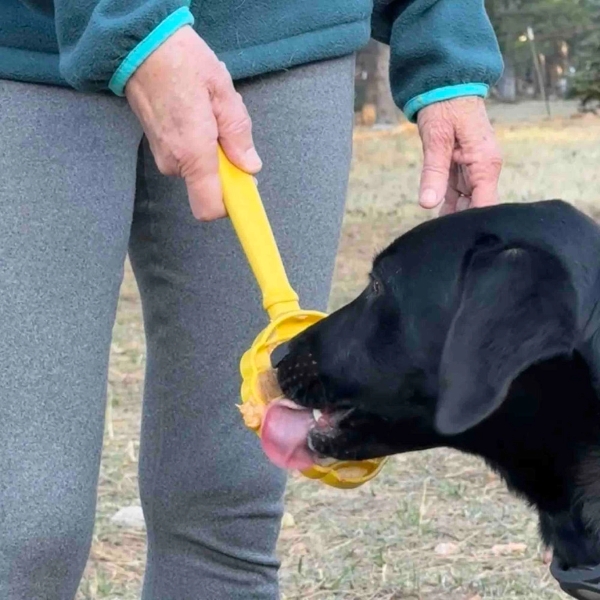 Sodapup Lick Stick Interactive Enrichment Toy - 6
