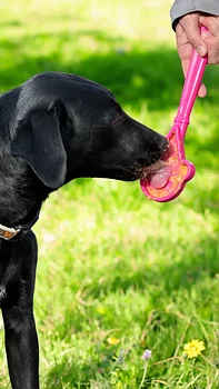 Sodapup Lick Stick Interactive Enrichment Toy