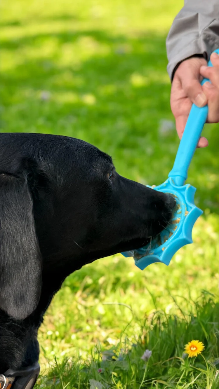 Sodapup Lick Stick Interactive Enrichment Toy - 5