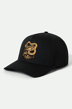 Rothwell snapback