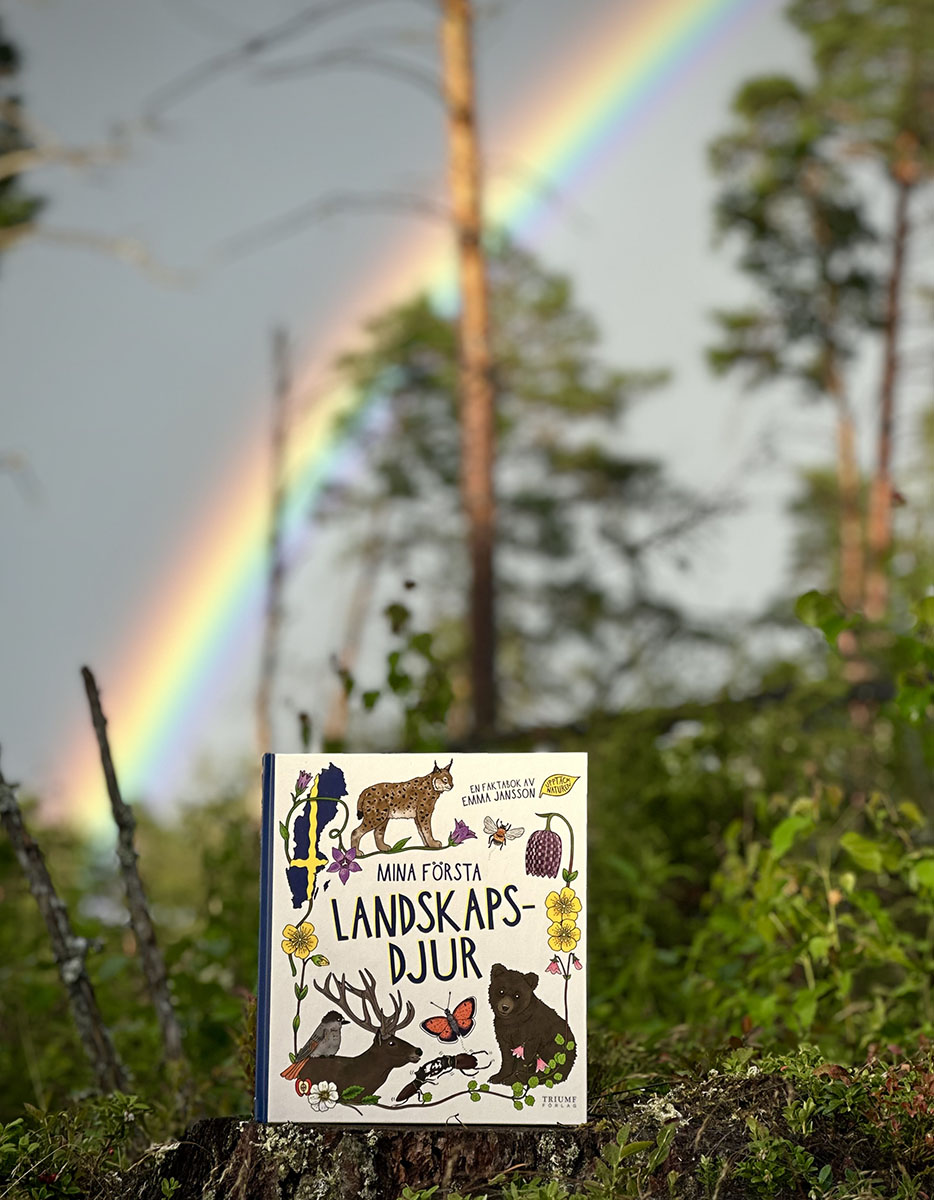 Mina första landskapsdjur - 4