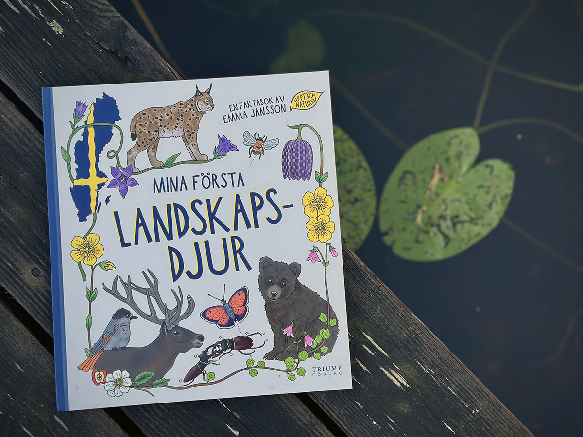 Mina första landskapsdjur - 3