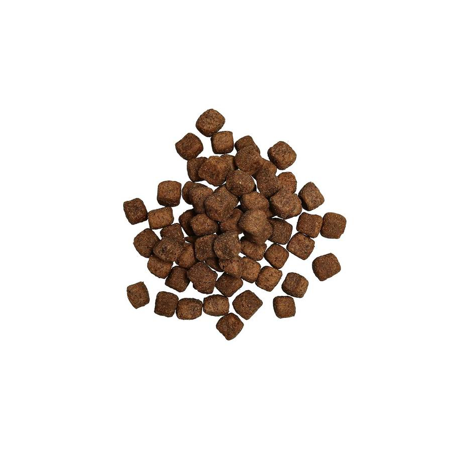 Harmony - Senior Kalkon 3kg - 2