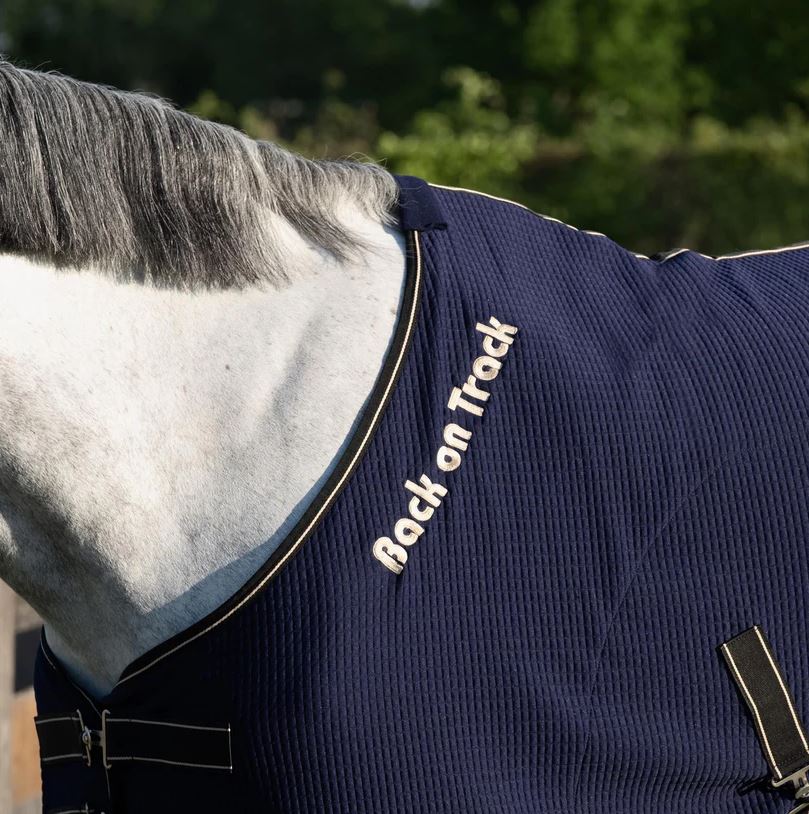 Back on Track Quick Cooler Sweat Rug - Blue - breathability