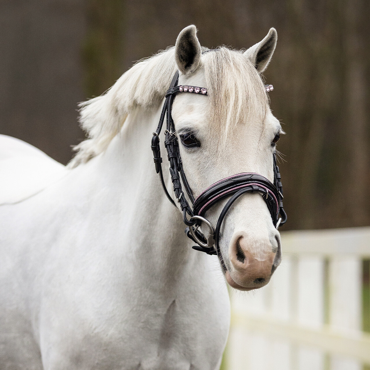 QHP Bixie Bridle – Pink - elegant