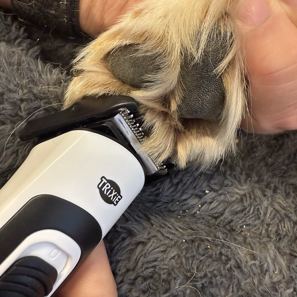 Trimmer att klippa mellan hundens trampdynor