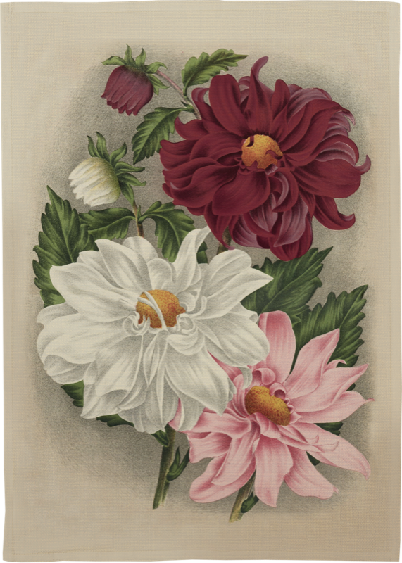 Vintage Collection Kökshandduk Dahlia