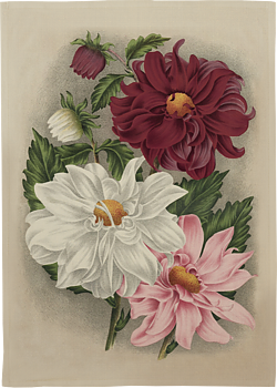 Vintage Collection Kökshandduk Dahlia