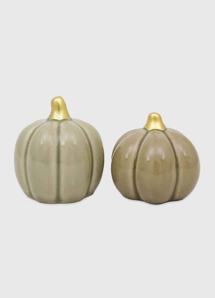 2-pack Pumpa Sage - Pumpor - Keramik - Medium