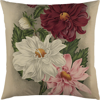 Kuddfodral Dhalia