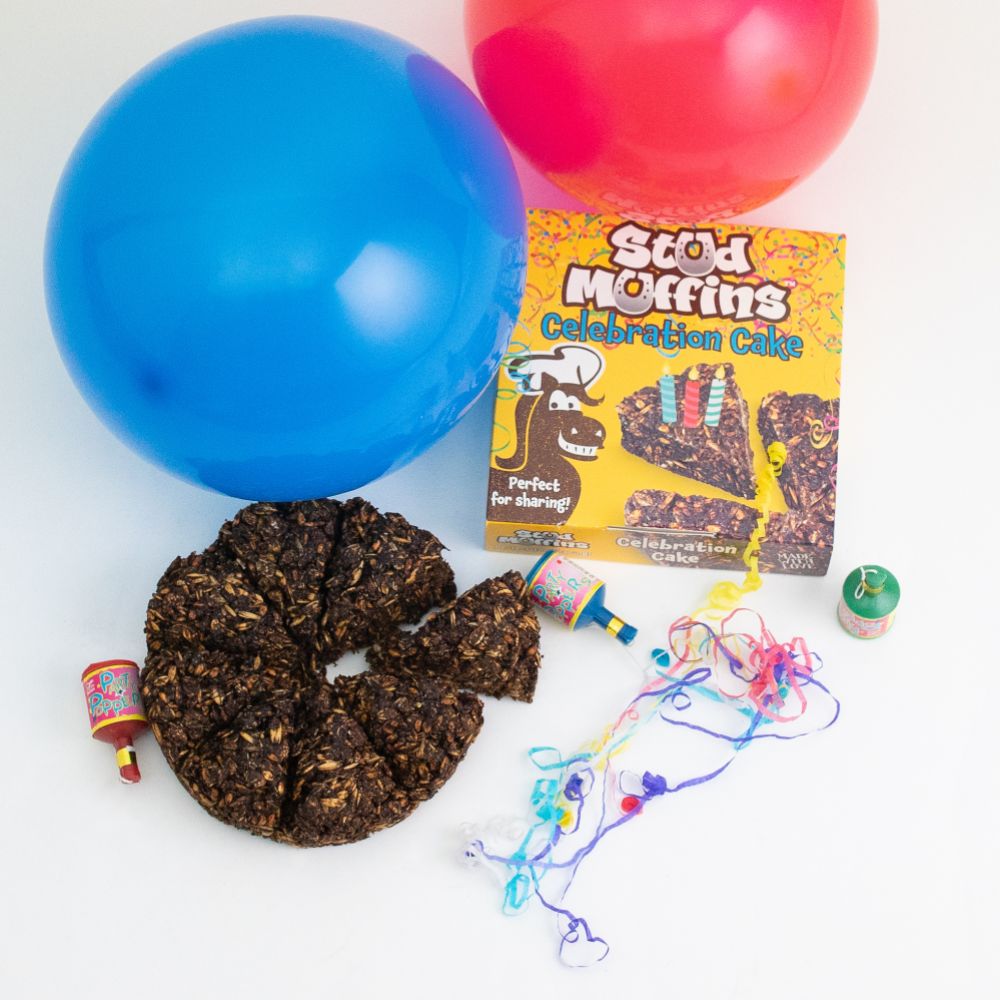 Stud Muffins Celebration Cake Pferdeleckerli
