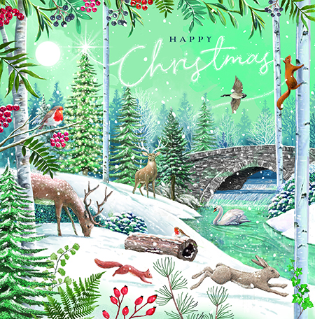 Woodland Christmas, Medium Solid Christmas Box - 2