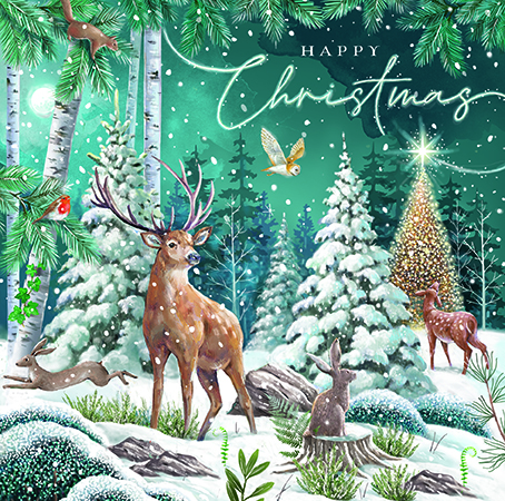 Woodland Christmas, Medium Solid Christmas Box - 5