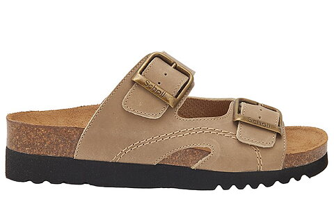 Scholl Moldava