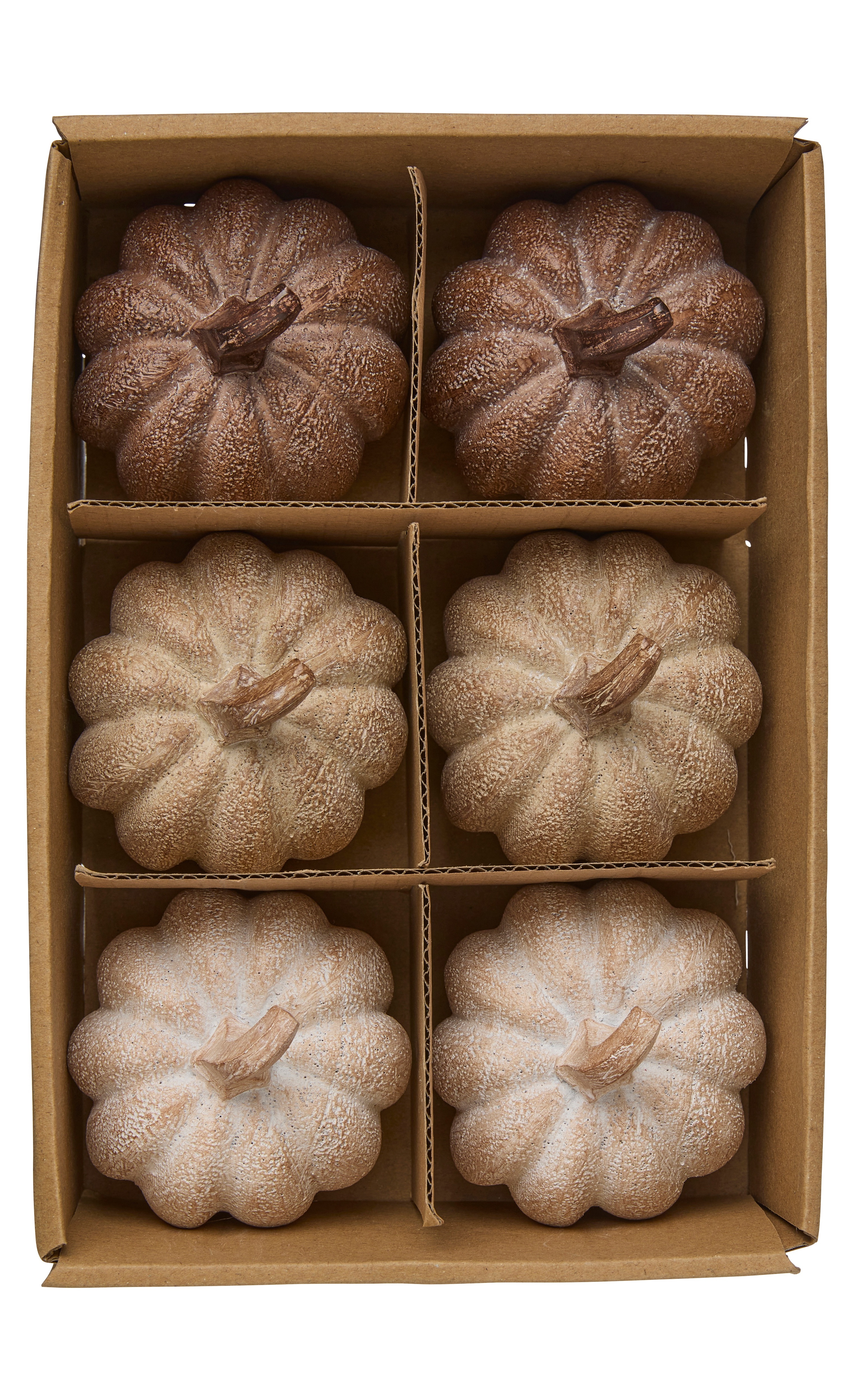 Pumpkin - Pumpkins - Mix in box - 6-pack - 2