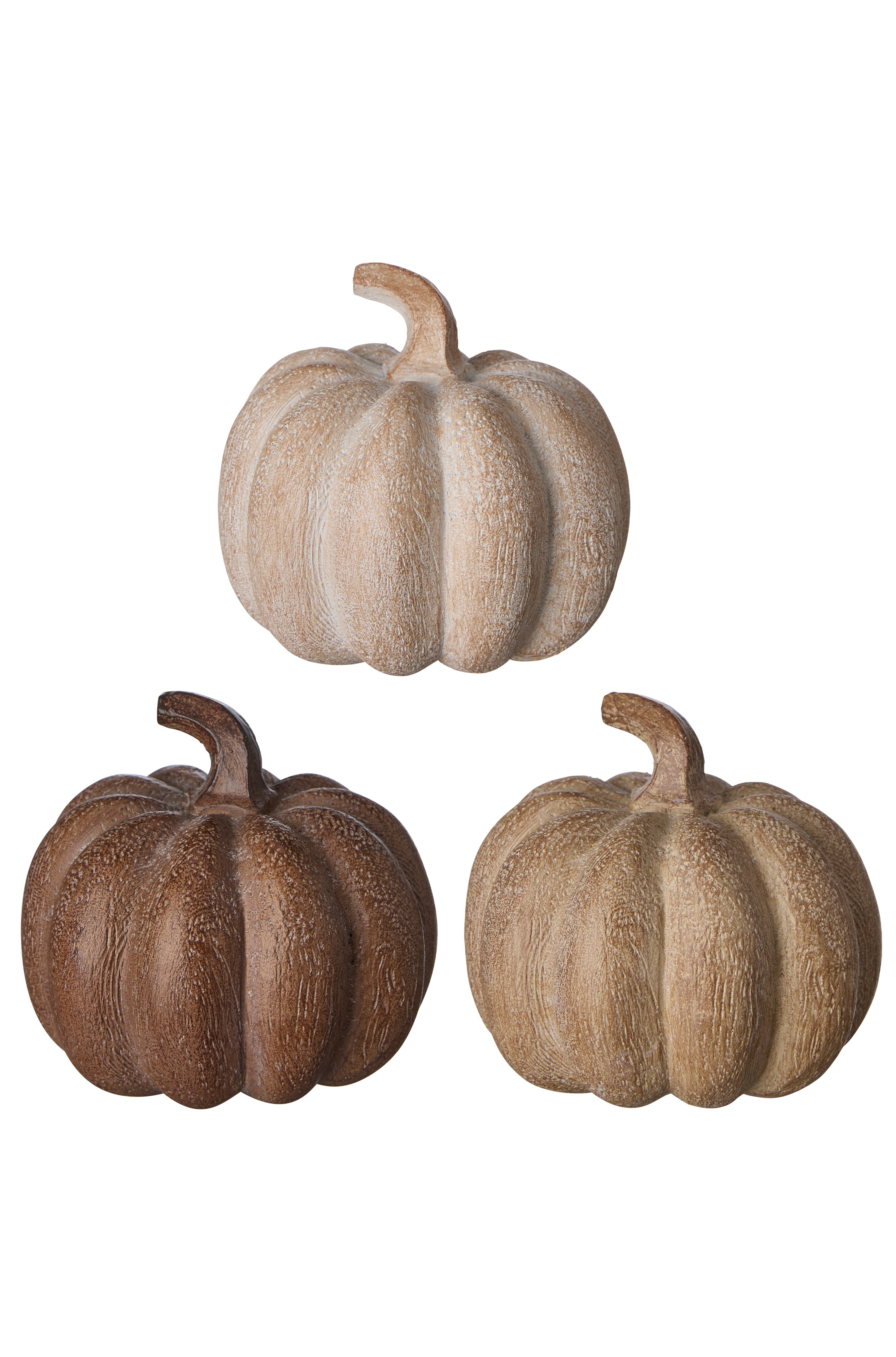 Pumpkin - Pumpkins - Mix in box - 6-pack - 3