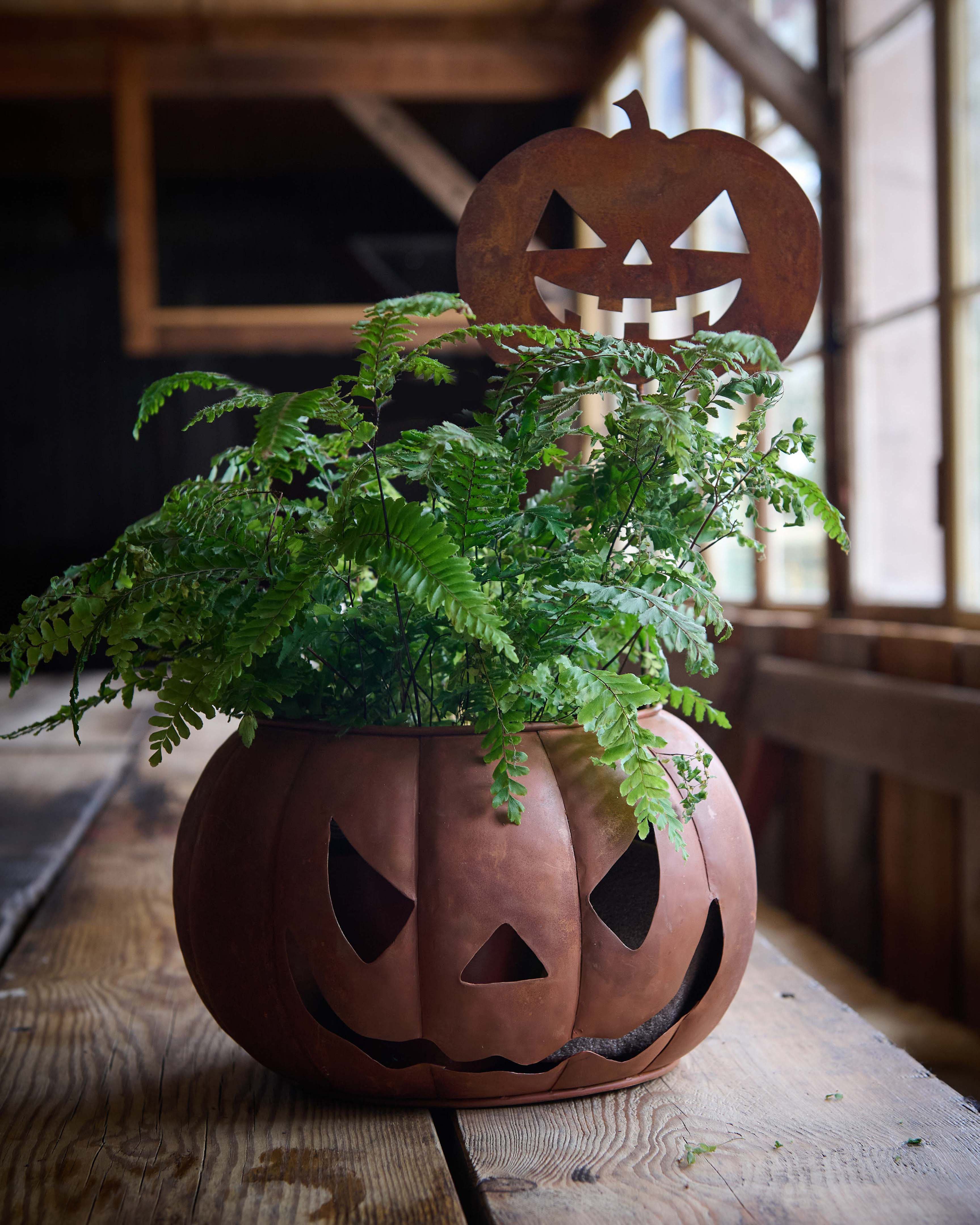Pumpkin Lantern Rust - 25x16 cm