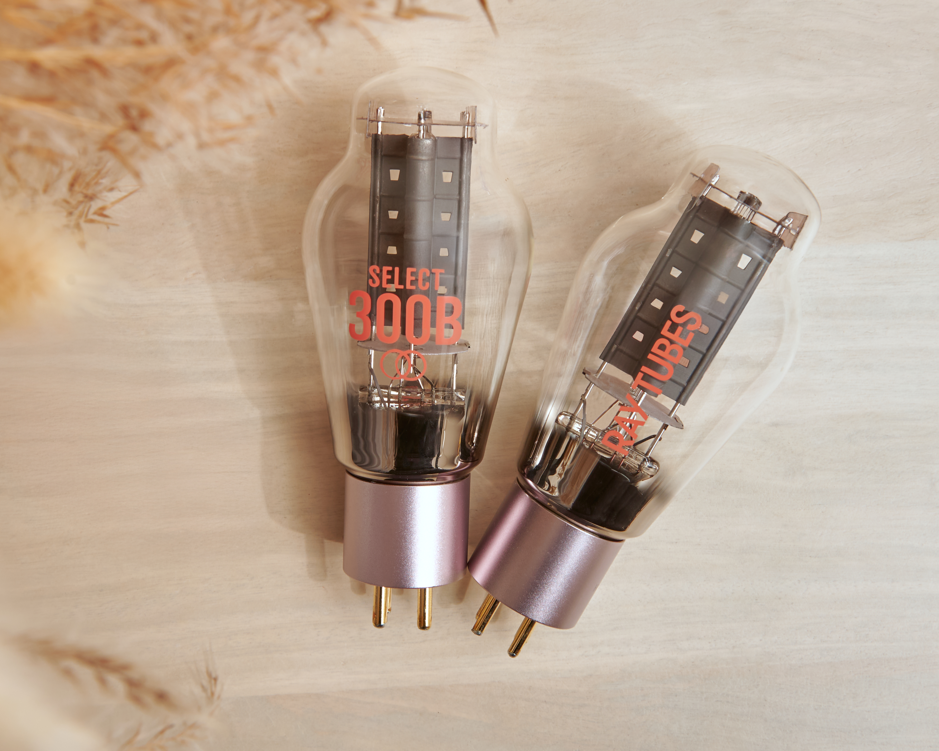Ray Tubes elektronrör - 300B SELECT - 2