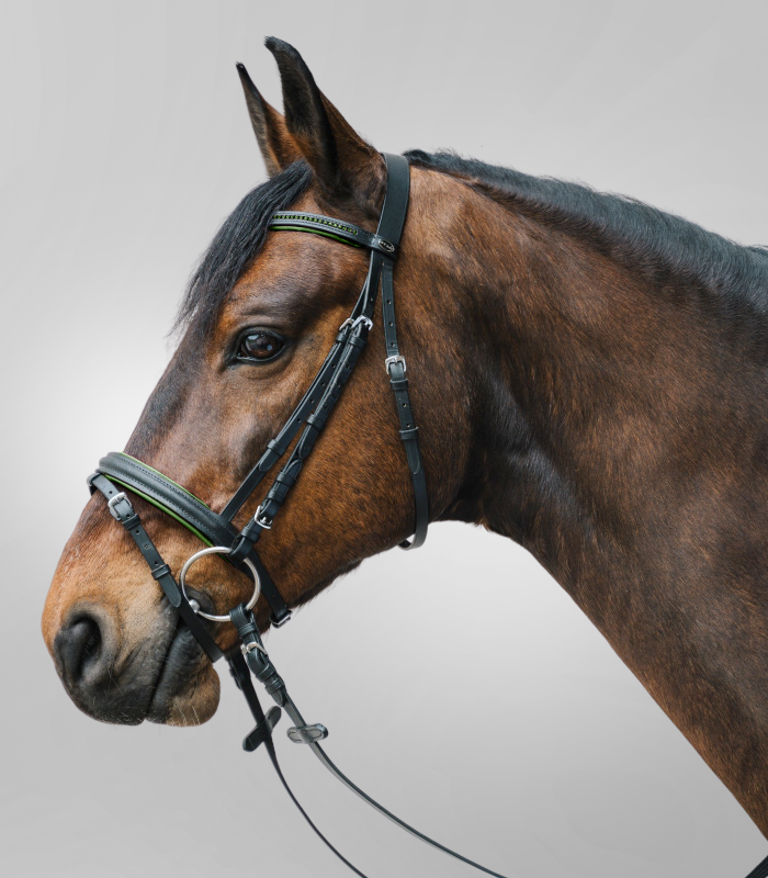 Waldhausen STAR Diamond Trense - Grün/Schwarz (Minishetland)