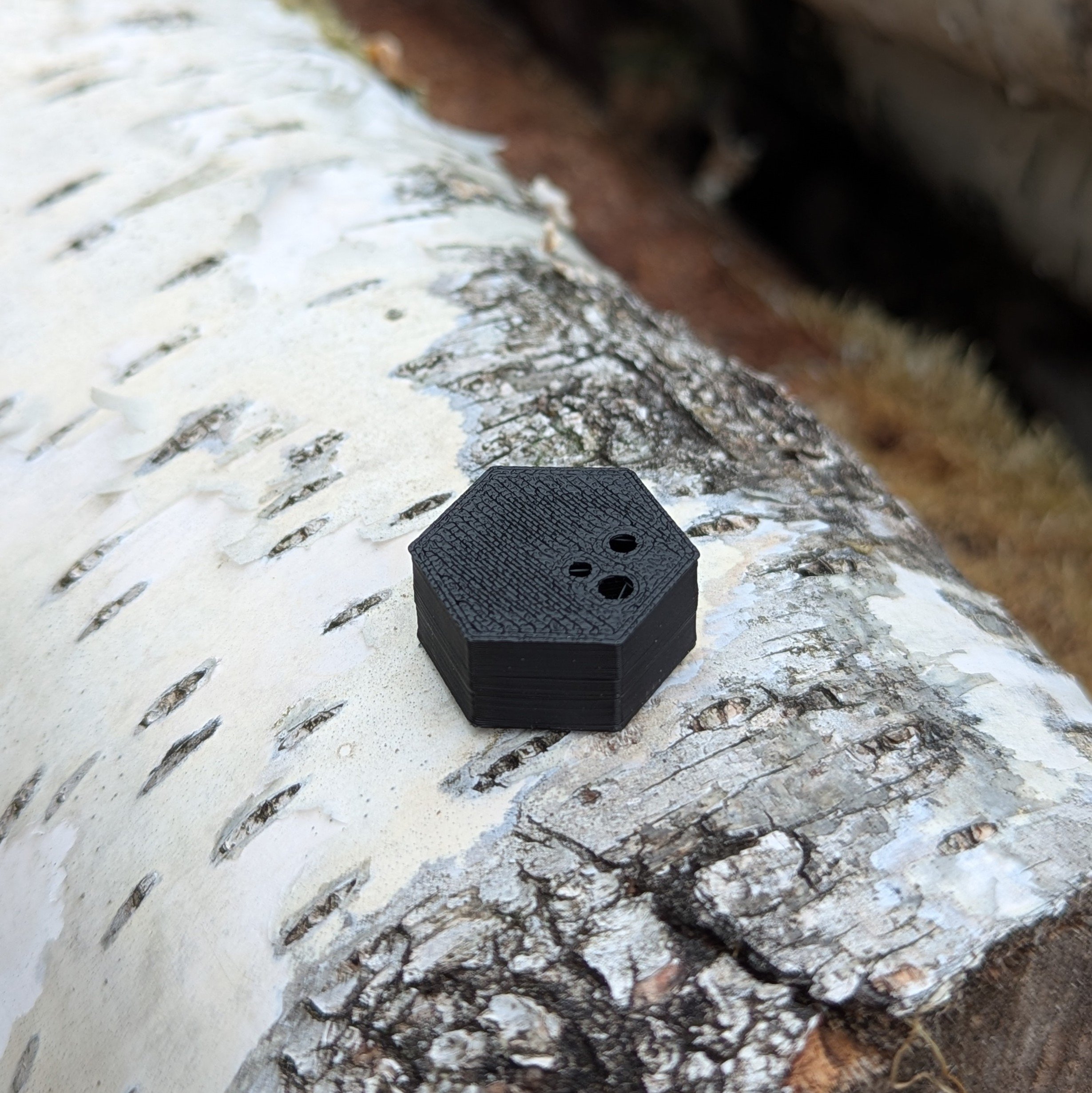 Nosverket NW Behållare Hexagon m magnet Svart