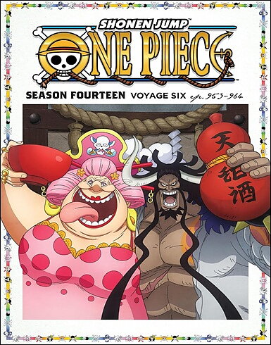 One Piece - Season Fourteen - Voyage Six (BLU-RAY + DVD)