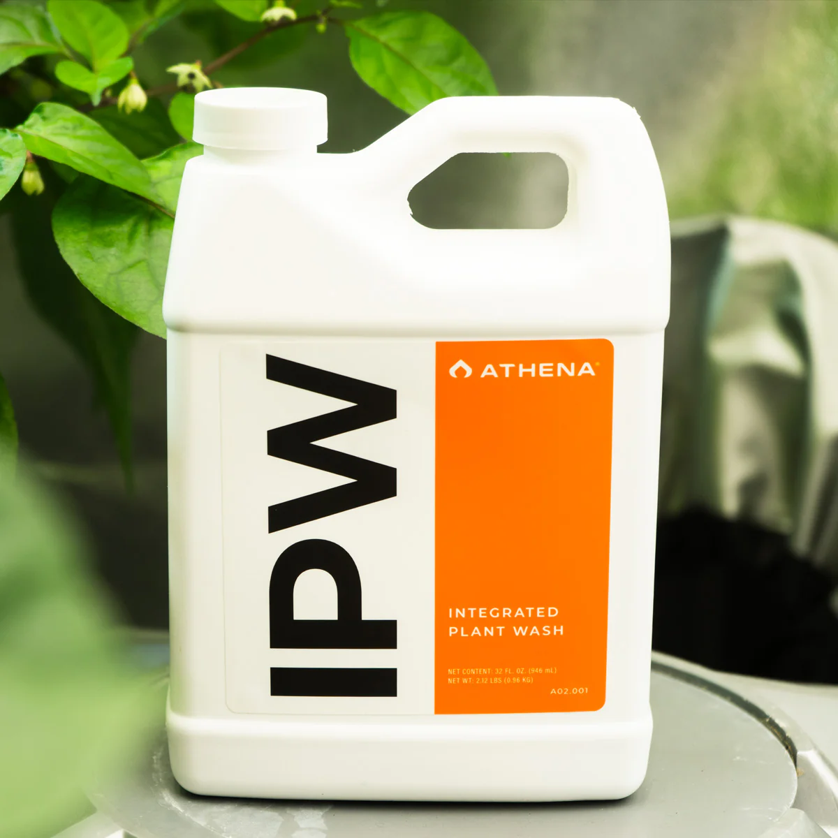 Athena IPW 946 ml - 2