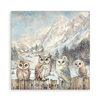 The Owl's House 12x12 Inch Paper Pack Maxi (Single Face)