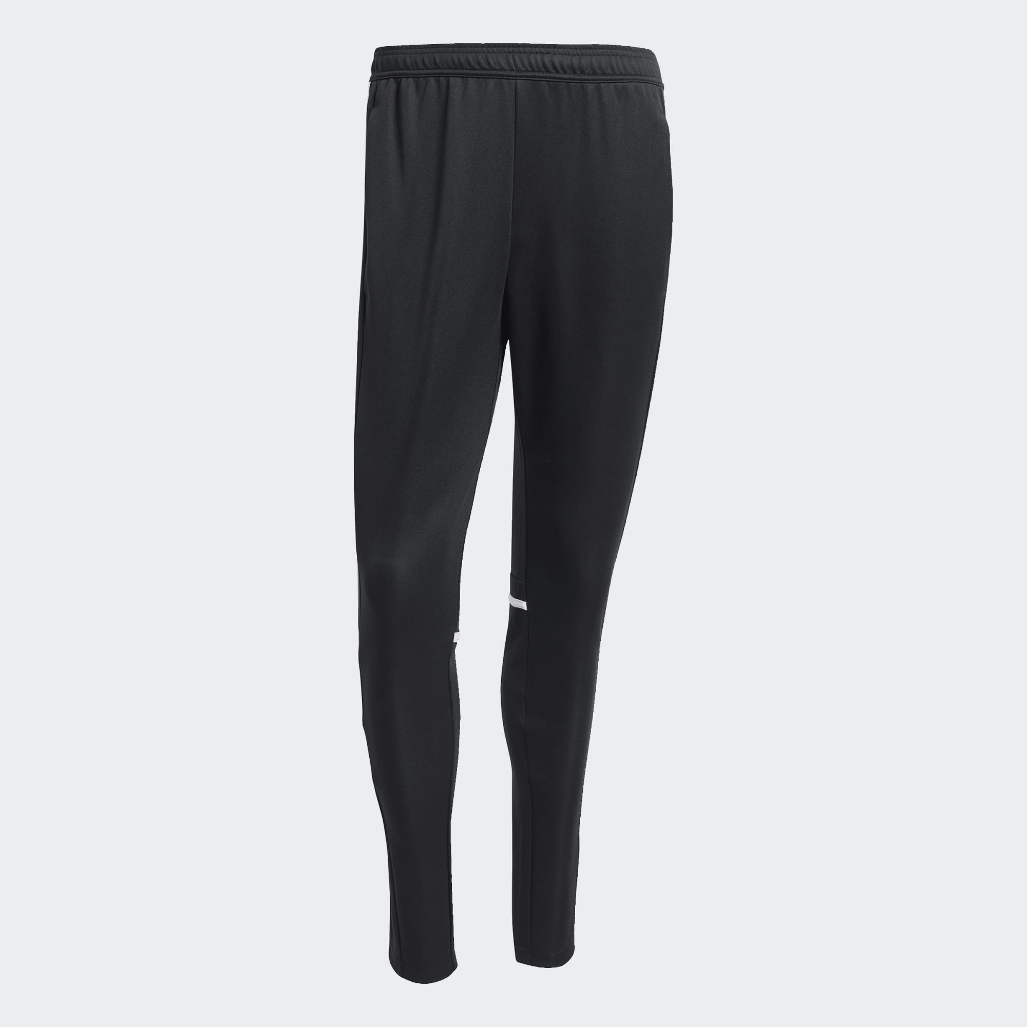 Adidas Sq25 Tr Pnt (TIBRO IBK)