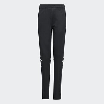 Adidas Sq25 Tr Pnt Y (TIBRO IBK)