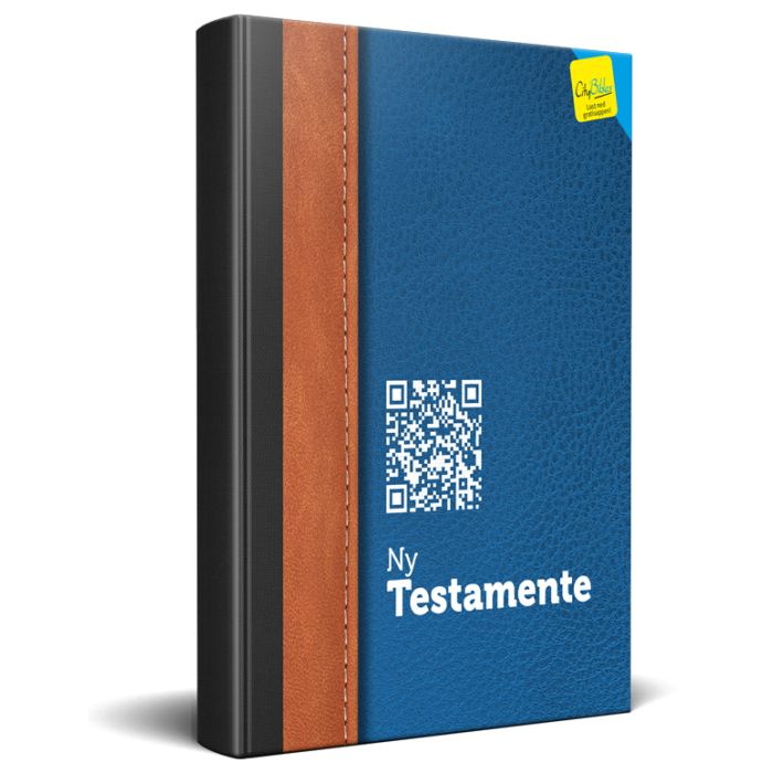 Nya Testamentet - Norska