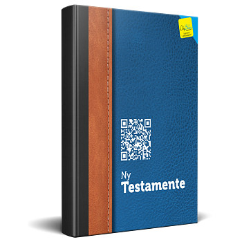 Nya Testamentet - Norska
