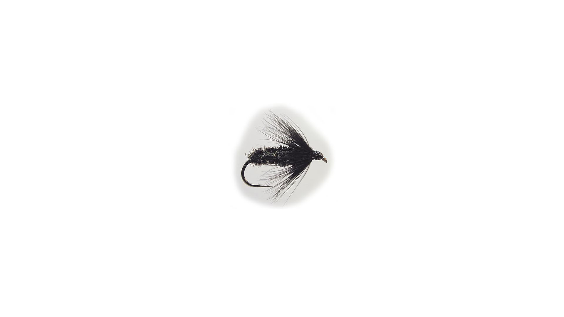 Våtfluga Black & Peacock Spider