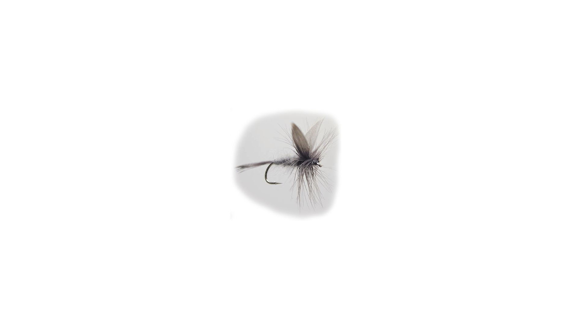 Torrfluga Blue Dun