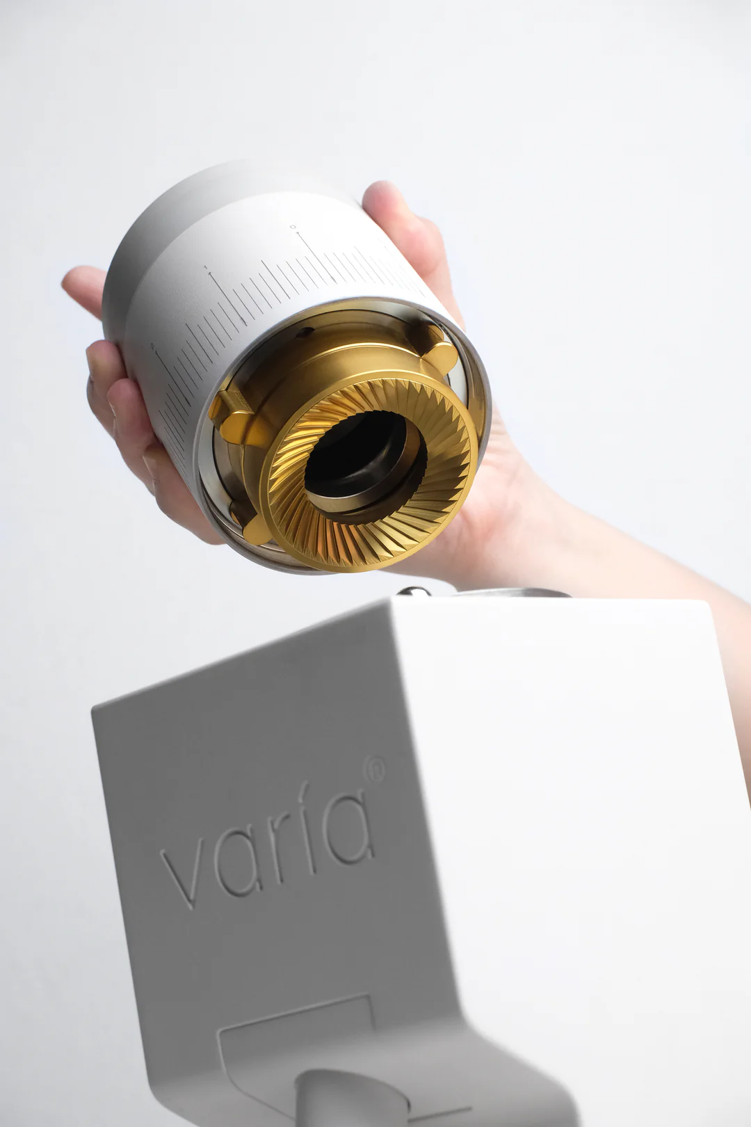 Varia - Supernova Flat Burr Set Gold Titanium - Flata malskivor för VS6  - 58mm - 3