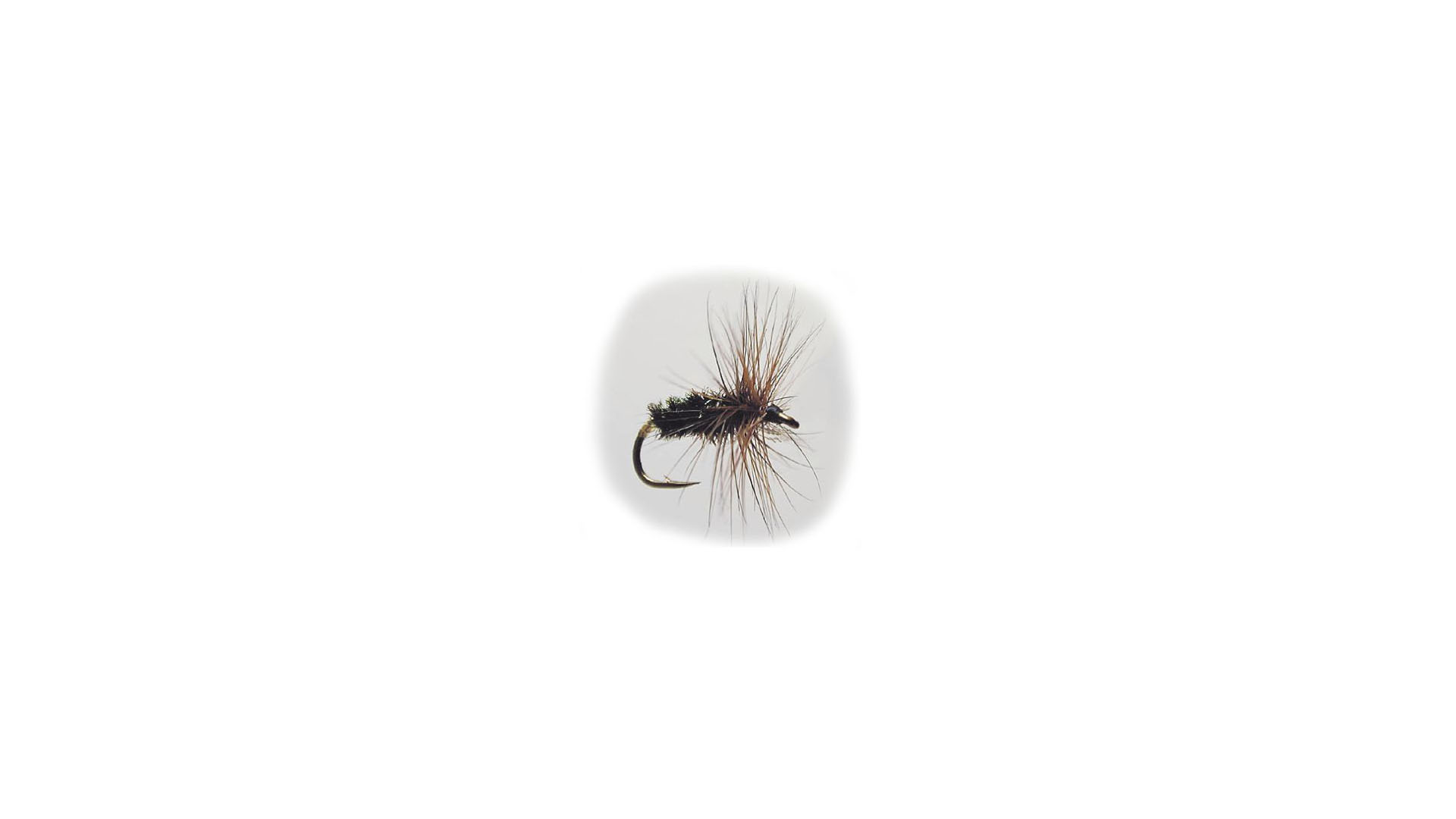 Torrfluga Coch y Bondu 