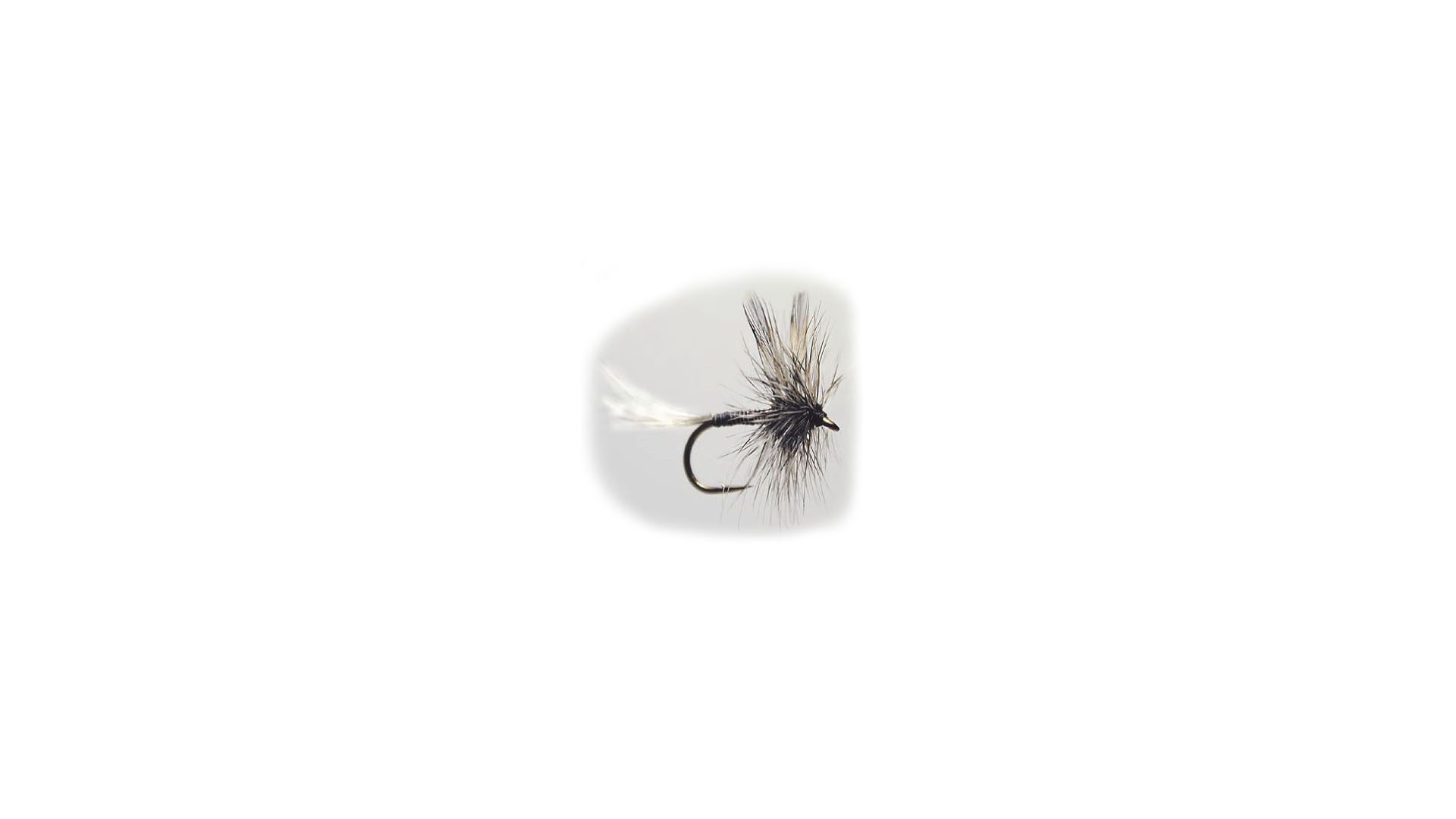 Torrfluga Mosquito 