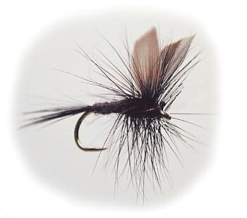 Torrfluga Black Gnat