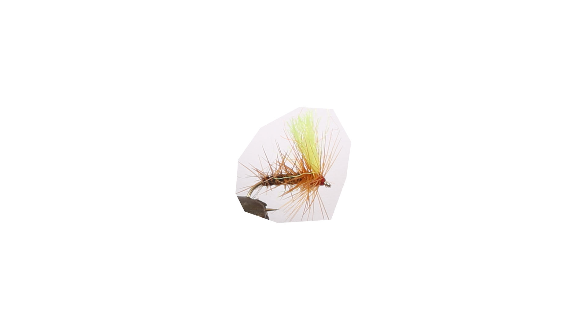 Torrfluga De Super Sight Pupa Yellow