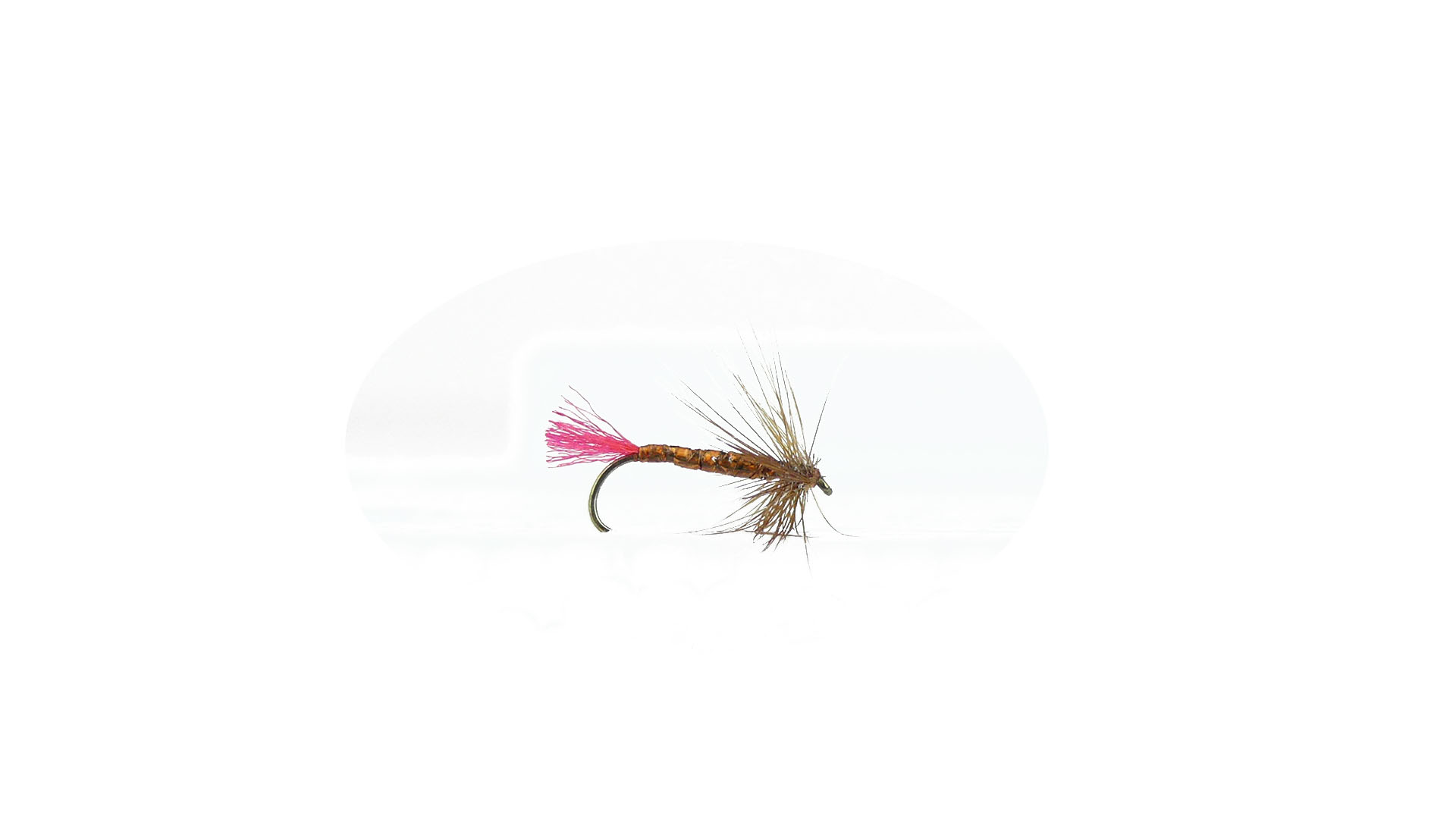 Torrfluga - Glomma Koppar Röd Tail 