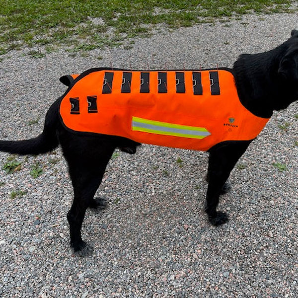 Dogtech WOLF (inkl. Gen 2 Add-On Vargstål)  - 4